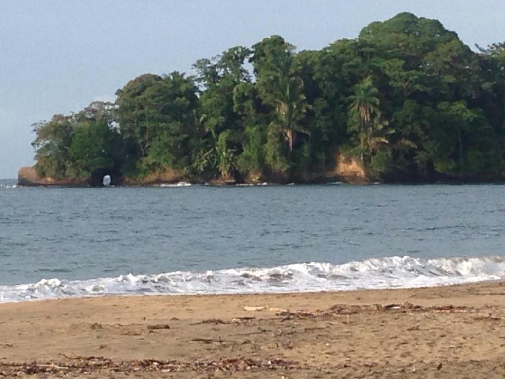 Hotel One Love Puerto Viejo Puerto Viejo de Talamanca Dış mekan fotoğraf