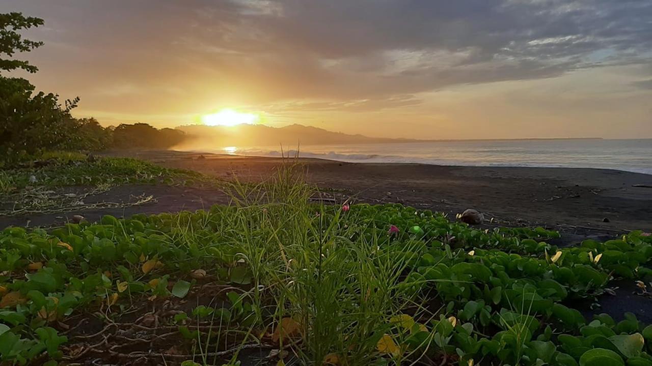 Hotel One Love Puerto Viejo Puerto Viejo de Talamanca Dış mekan fotoğraf
