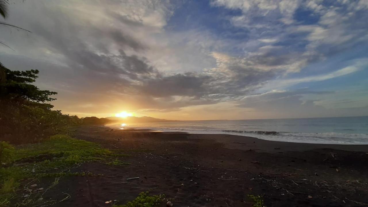 Hotel One Love Puerto Viejo Puerto Viejo de Talamanca Dış mekan fotoğraf