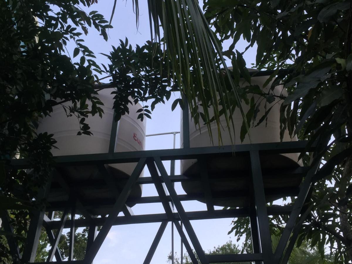 Hotel One Love Puerto Viejo Puerto Viejo de Talamanca Dış mekan fotoğraf