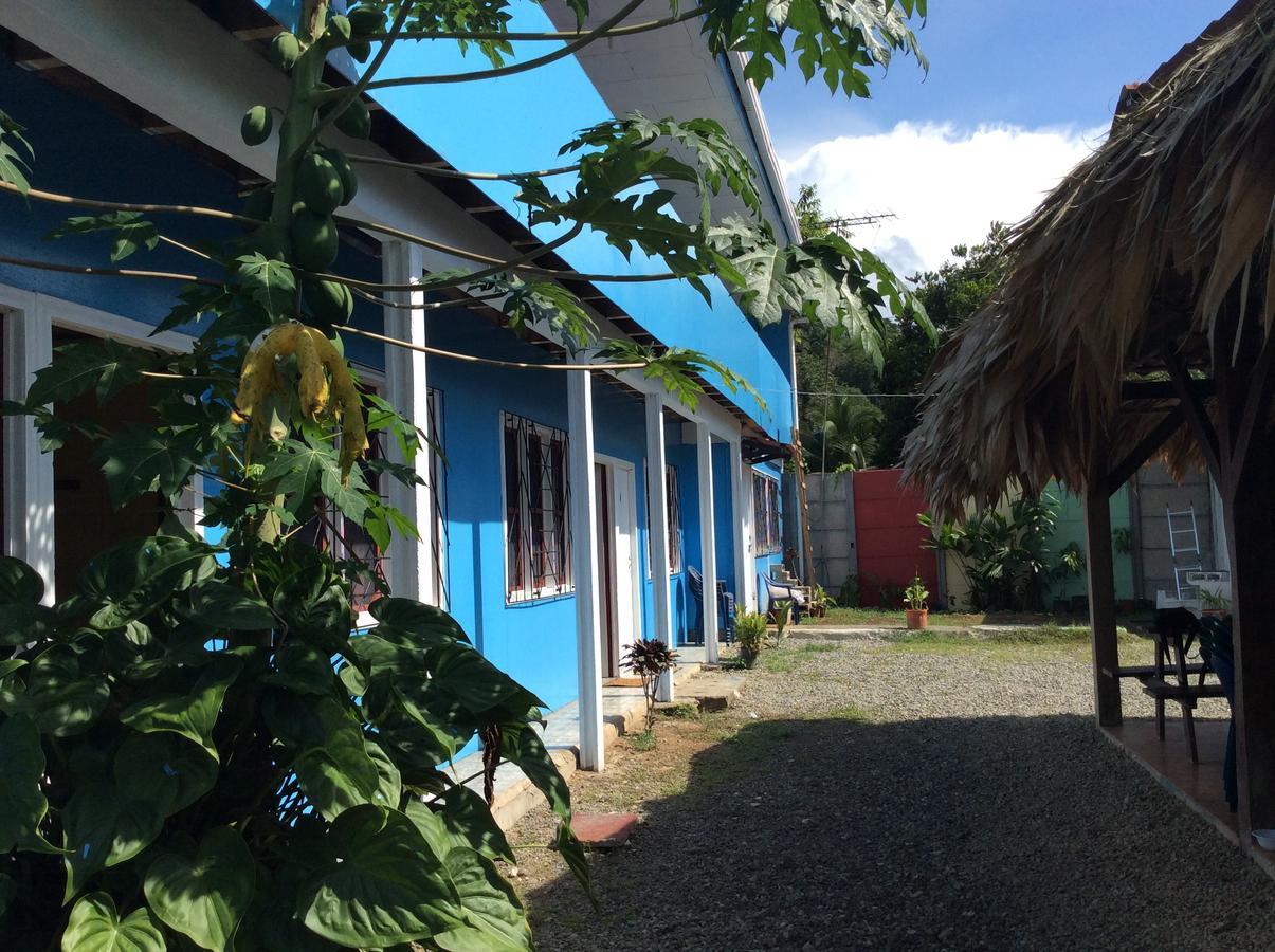 Hotel One Love Puerto Viejo Puerto Viejo de Talamanca Dış mekan fotoğraf